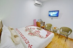 Hotel Duo Swan