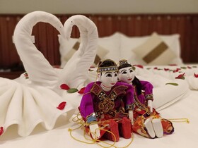 Hotel Duo Swan