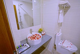 Hotel Duo Swan