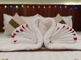Hotel Duo Swan
