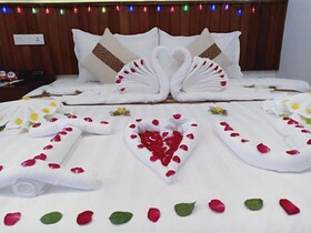 Hotel Duo Swan