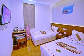 Hotel Duo Swan