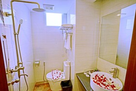 Hotel Duo Swan