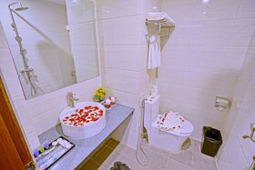 Hotel Duo Swan