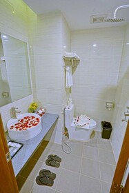 Hotel Duo Swan