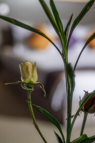 Hotel Magic Mandalay