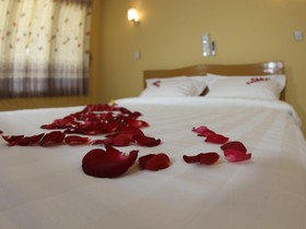 Motel Album