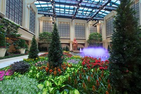 Sheraton Grand Macao Hotel, Cotai Central