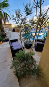 Villa Serenity B&B