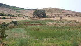 Ta Amy Farmhouse