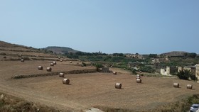 Ta Amy Farmhouse