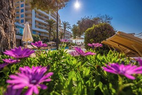 Radisson Blu Resort & Spa Malta Golden Sands