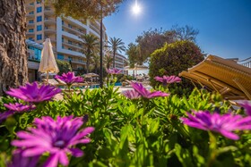 Radisson Blu Resort & Spa Malta Golden Sands