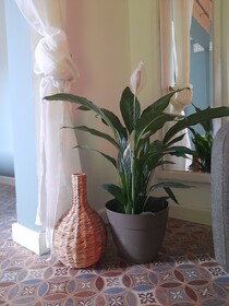 Boho Rooms Sliema
