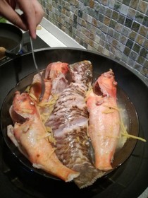 Bahama Breeze Beach Apartment B&B