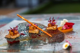 Guest House & Restaurant Stella Rina