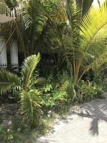 La Résidence de Trou Aux Biches