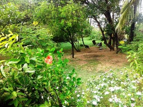 Chez Ronald Guest House
