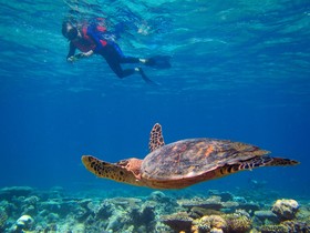 Kihaa Maldives