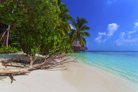 aaaVeee Natures Paradise