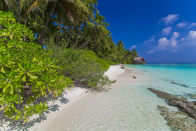aaaVeee Natures Paradise