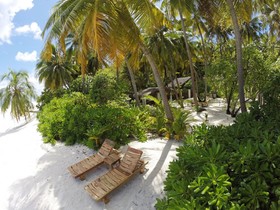 aaaVeee Natures Paradise
