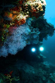 Angsana Velavaru