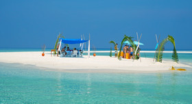 Plumeria Maldives