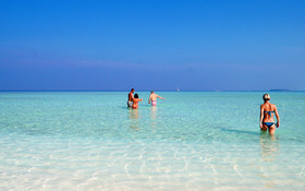 Plumeria Maldives