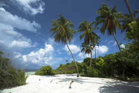 Reveries Diving Village