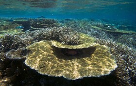 Hurawalhi Island Resort