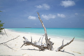 Ocean Village Maldives