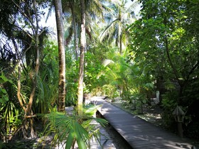 Gangehi Island Resort