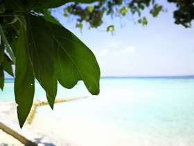 Gangehi Island Resort