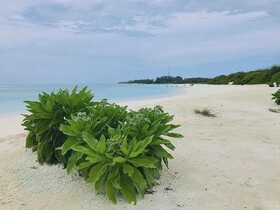 Veli Beach Inn