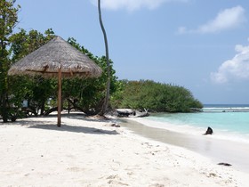 Banana Residence