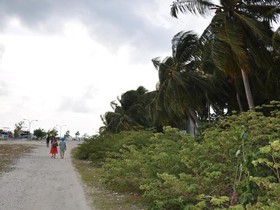 Banana Residence