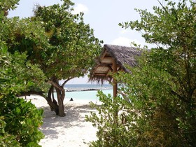 Banana Residence