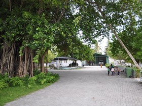 Banana Residence