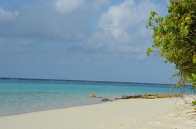 Dive Villa Thoddoo