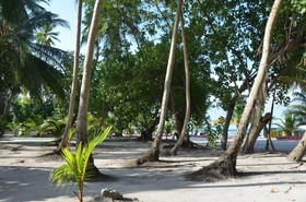 Dive Villa Thoddoo