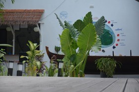 Dive Villa Thoddoo