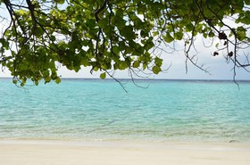 Dive Villa Thoddoo