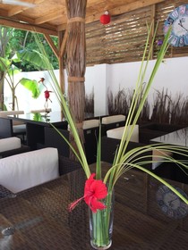 Dive Villa Thoddoo