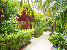Beach Villa Ukulhas