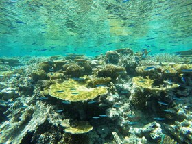 Koimala Beach
