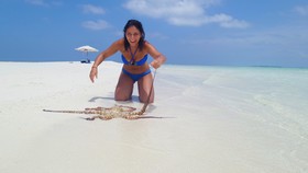 Ukulhas Inn