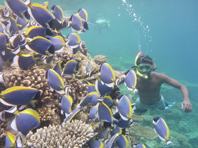 Ukulhas Inn