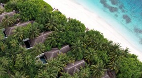 Coco Bodu Hithi