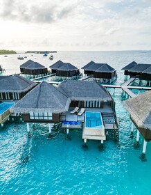 Coco Bodu Hithi